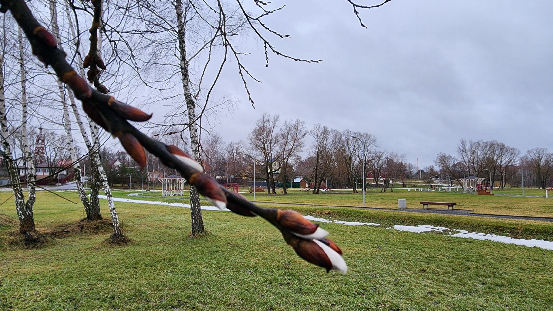 Бронницы, Парк Бронницкий Луг, Мероприятие в парке Бронницкий Луг, вертикалки, Дети,