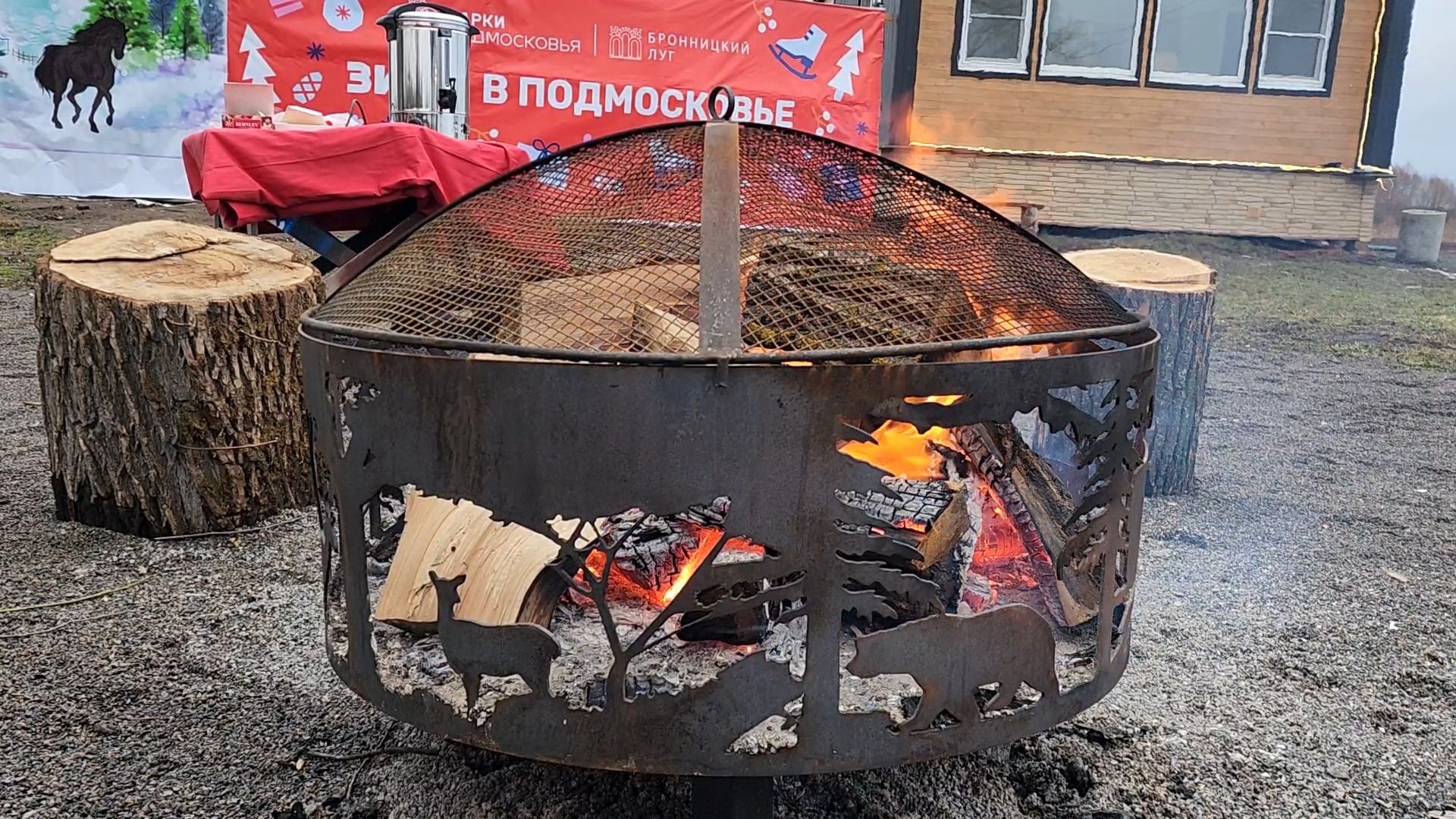 Бронницы, Парк Бронницкий Луг, Мероприятие в парке Бронницкий Луг, вертикалки, Дети,