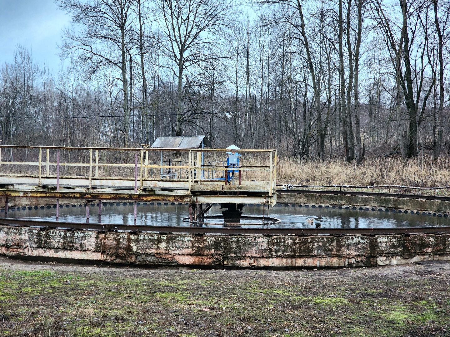 пущино, серпухов, экология, животные, вертикалки,