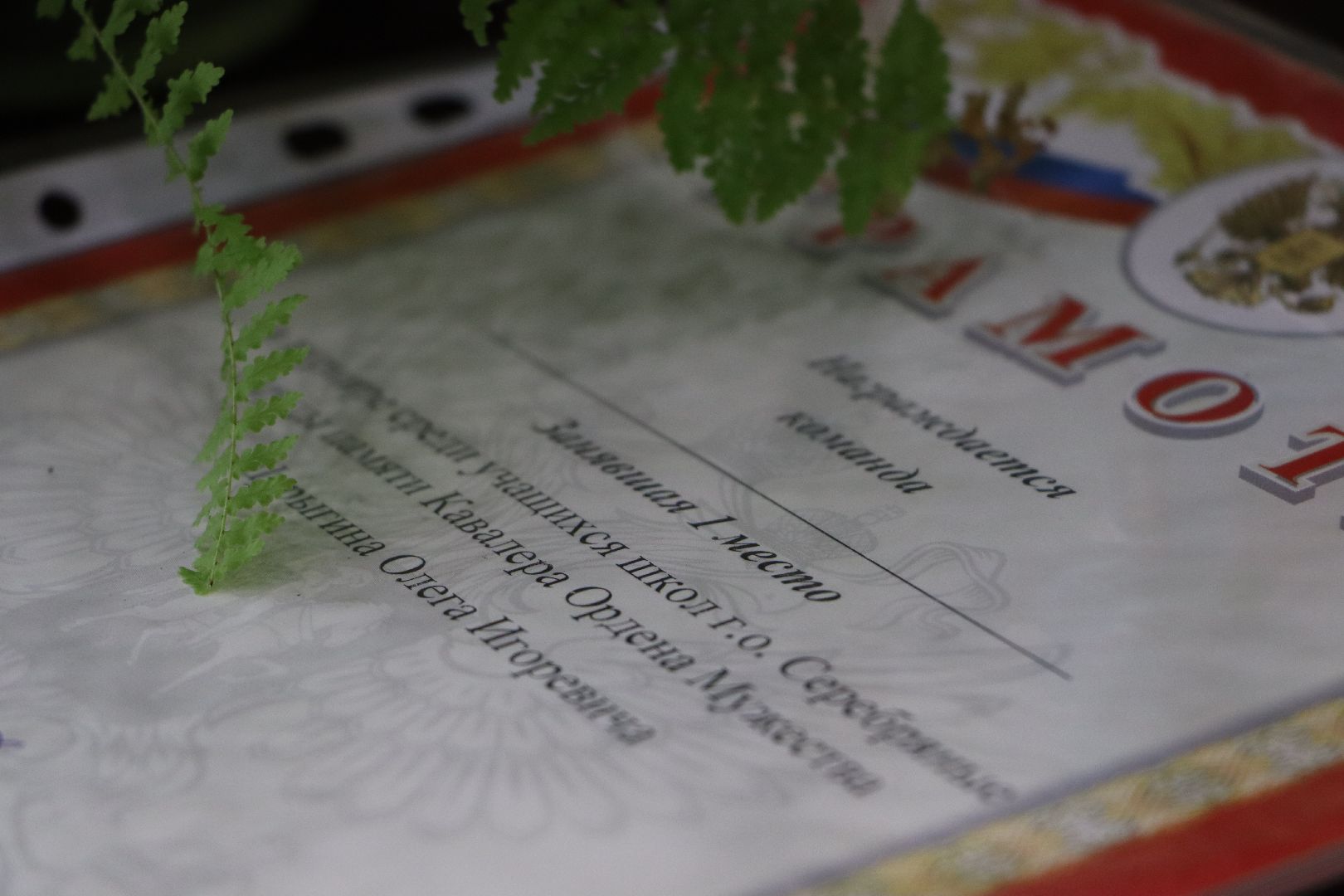 Серебряные Пруды, спорт, Олег Шурыгин