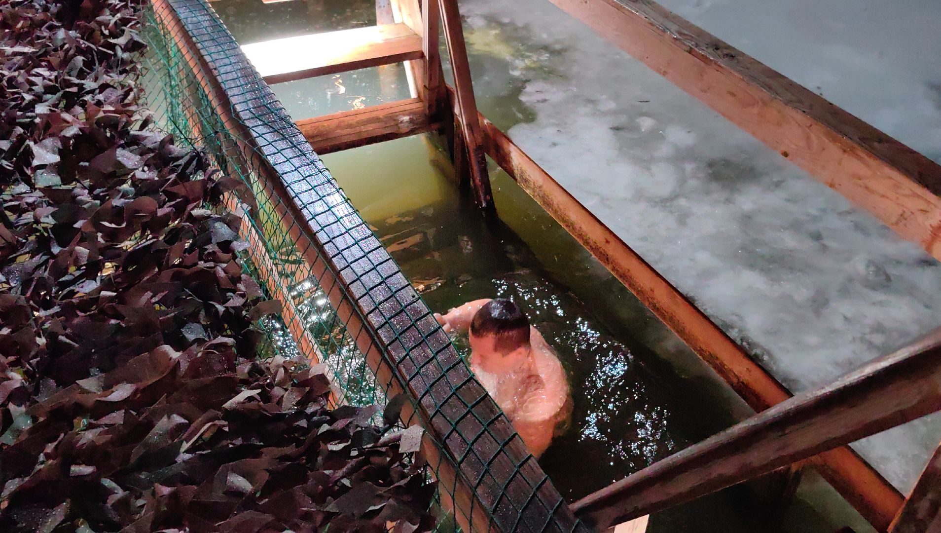 крещение, купания, купель, озеро, храм, космонавт,