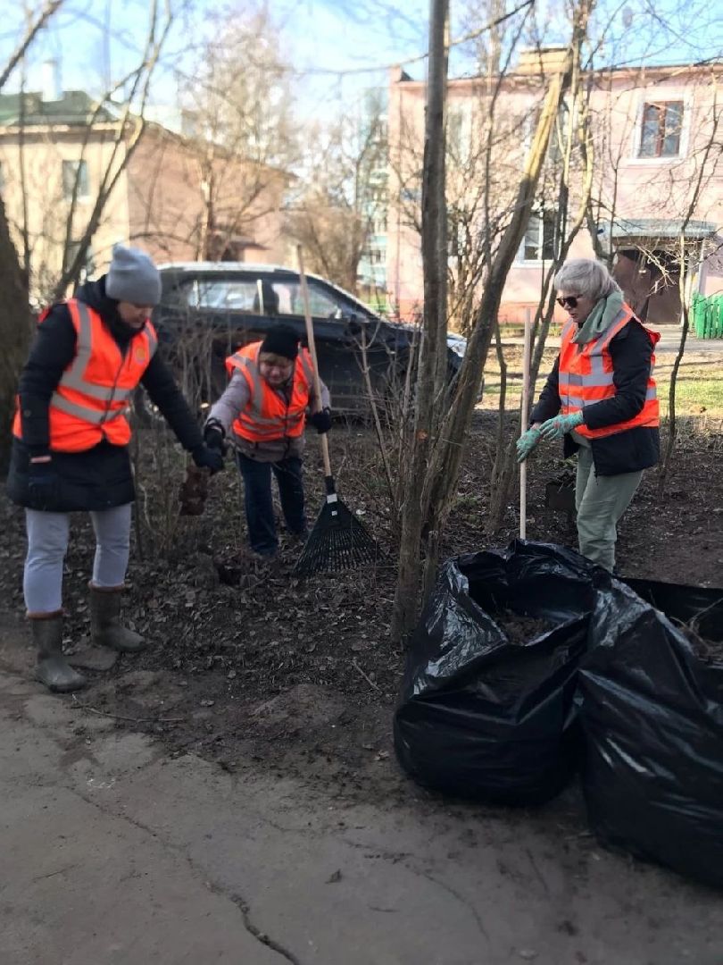 Солнечногорск, чемпион, Михайлов, хоккеист, субботник