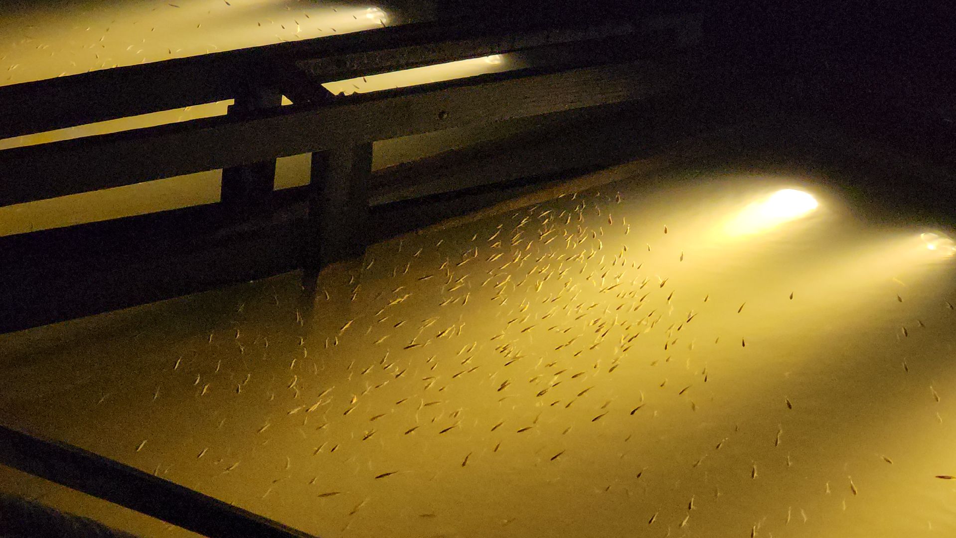 Крещение, Купель, Монастырь, Истра,