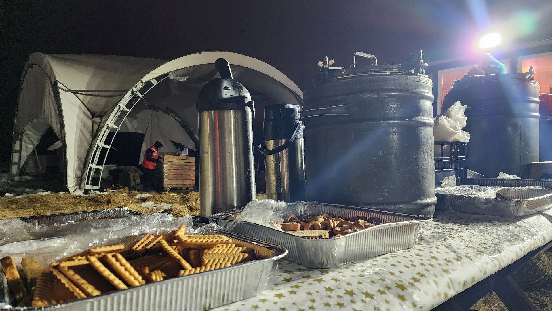 Крещенские купания, Лобня,