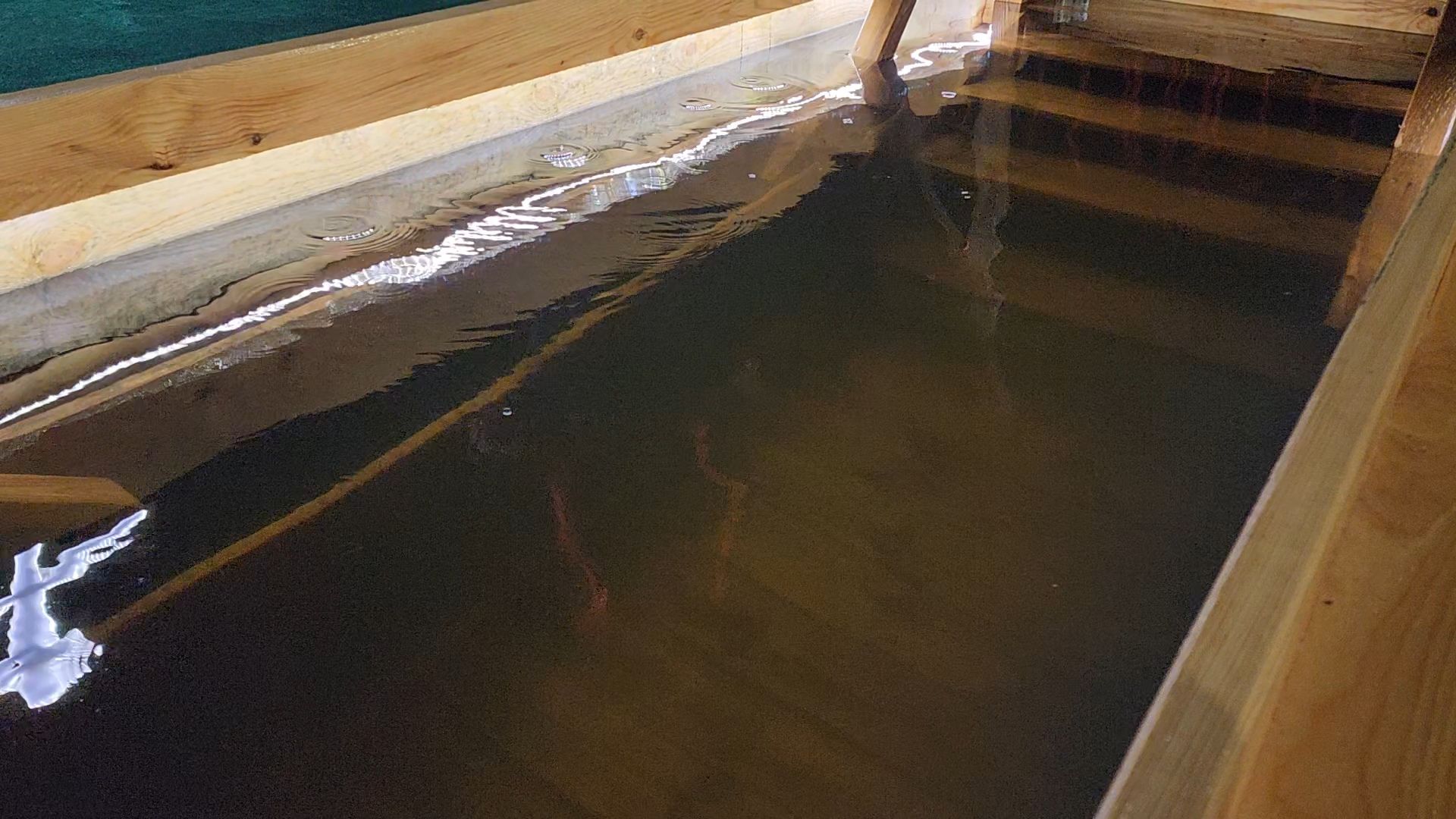 Егорьевск, Подмосковье, Московская область, крещение, вертикалки