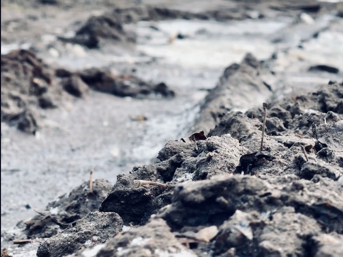 раменское, подмосковье, дороги, ремонт дорог,