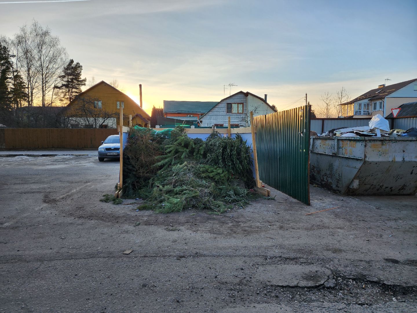 раменское, экология, акция по сбору новогодних елей, вертикалки,