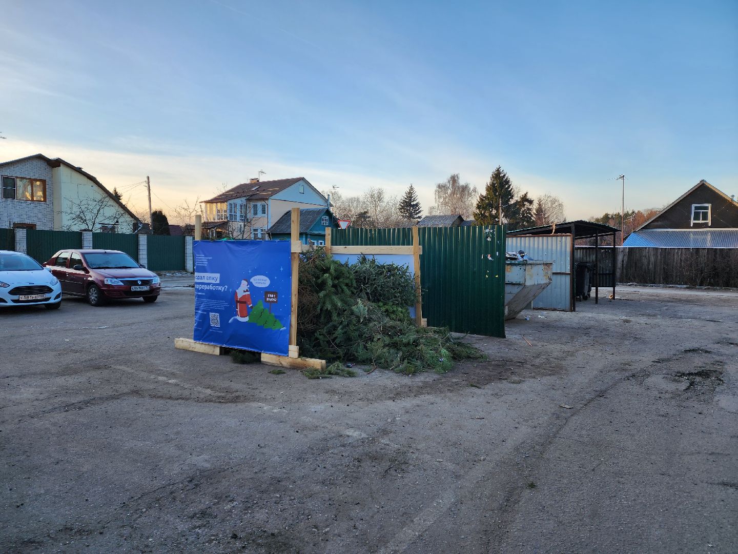 раменское, экология, акция по сбору новогодних елей, вертикалки,