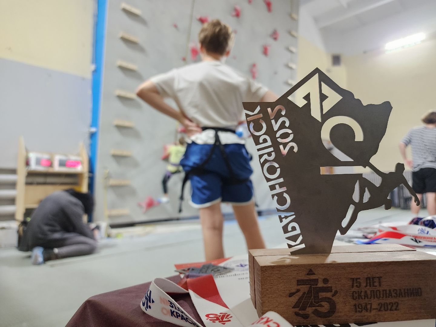 Егорьевск, Подмосковье, Московская область, скалодром, вертикалки,