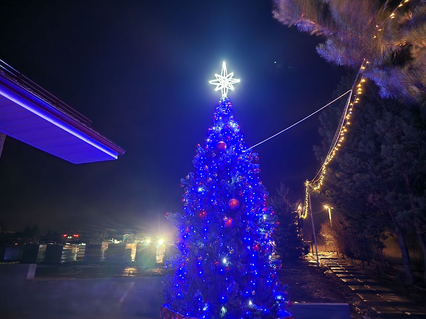 Коломна, крещение, крещенские купания,