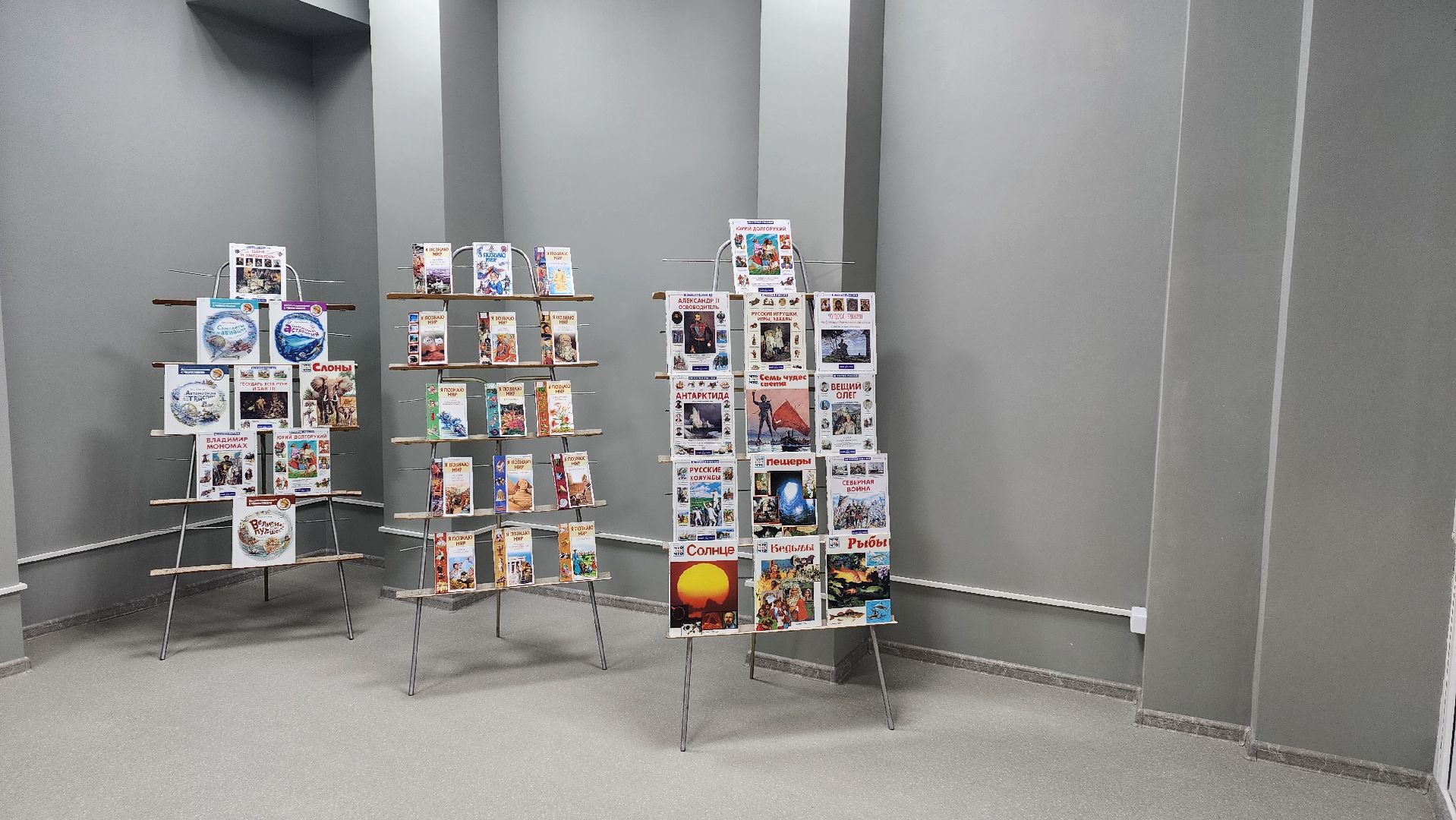 вертикалка, библиотека, ремонт, вертикалка,