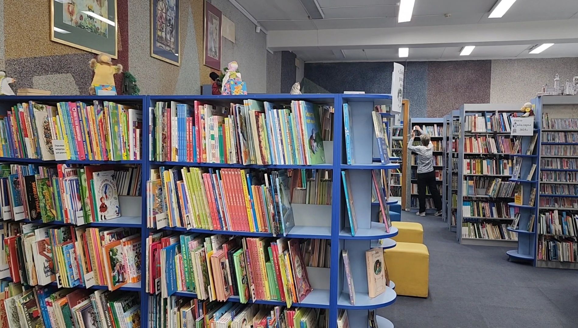 вертикалка, библиотека, ремонт, вертикалка,