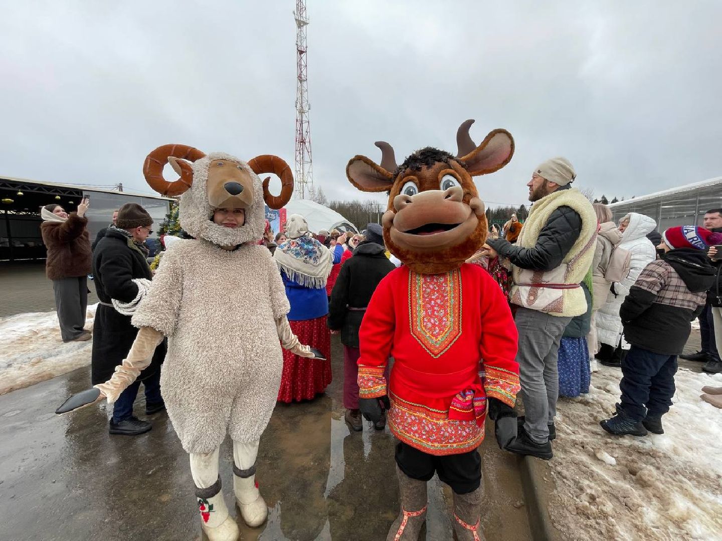 Дмитров, Экопарк Рождествено, Молдавия, вертикаль,