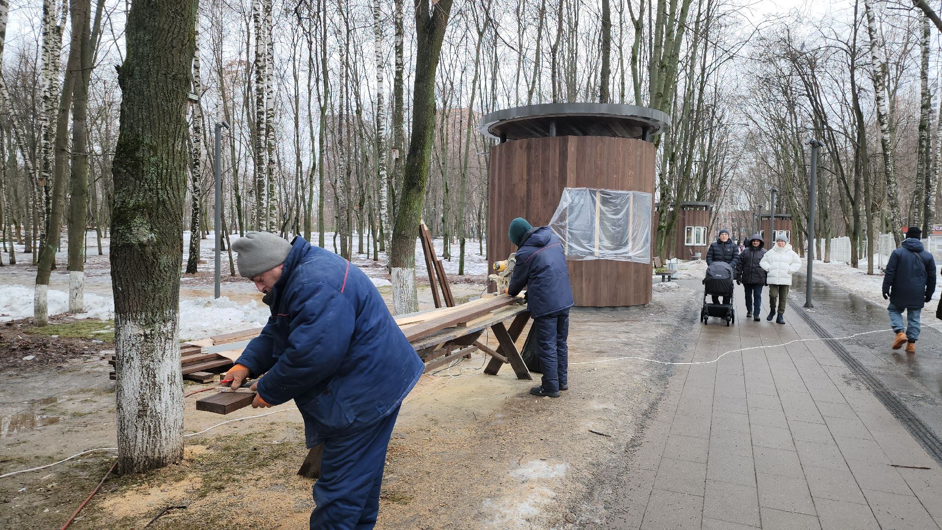 Люберцы, наташинский парк, гололед, реконструкция, вертикалки,