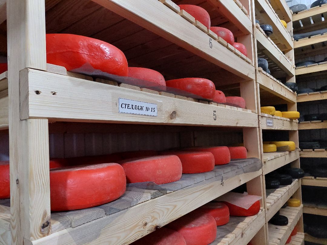 Воскресенск, общество