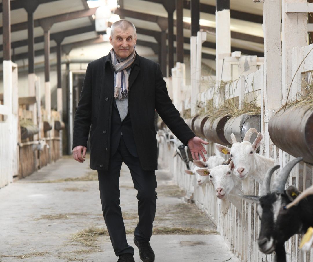 Воскресенск, общество