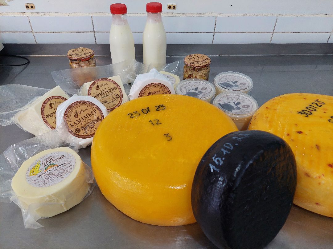 Воскресенск, общество