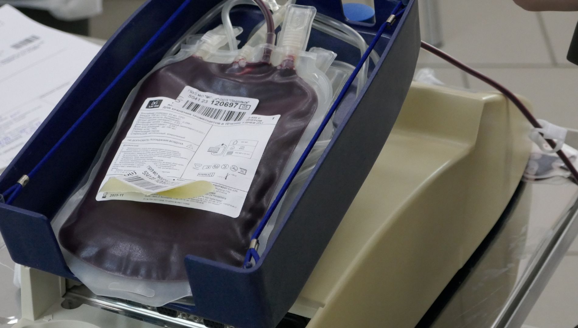 Подольск, доноры, День донора, молодежь