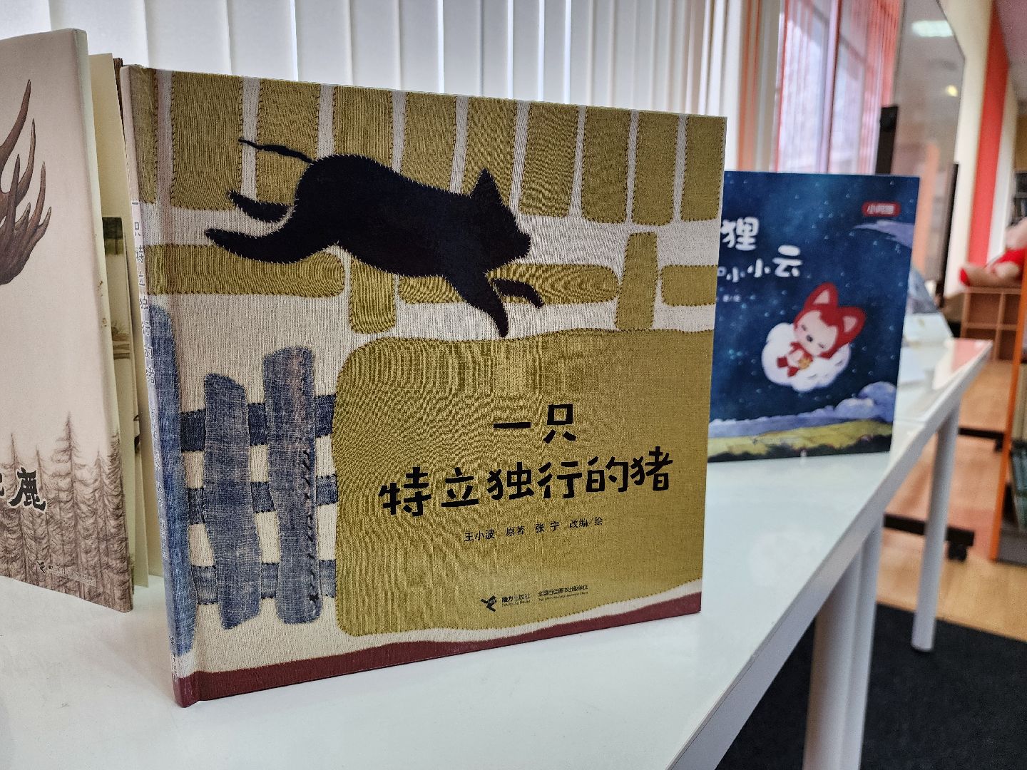 Дубна, Библиотека Левобережья, Китай, Россия, Дети,