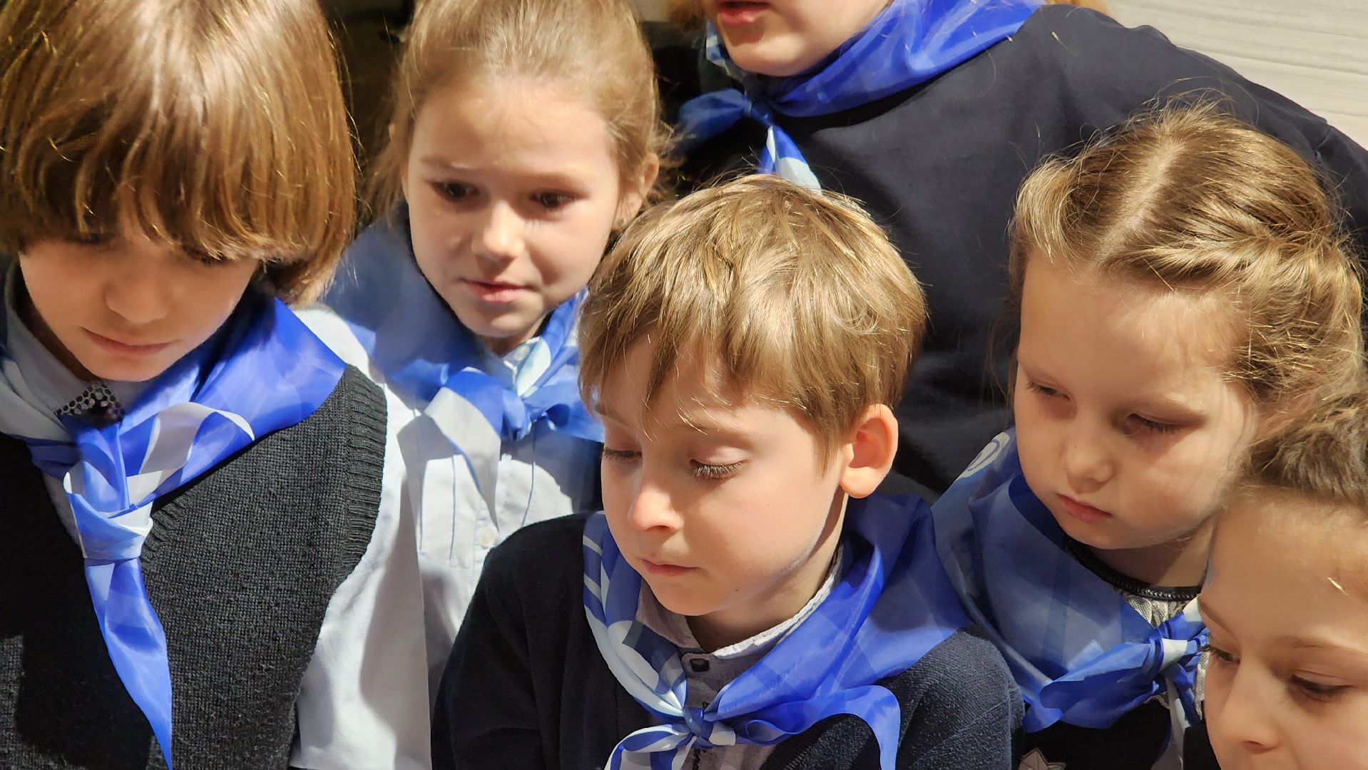 экология, Эко кормушки для птиц, протвино,