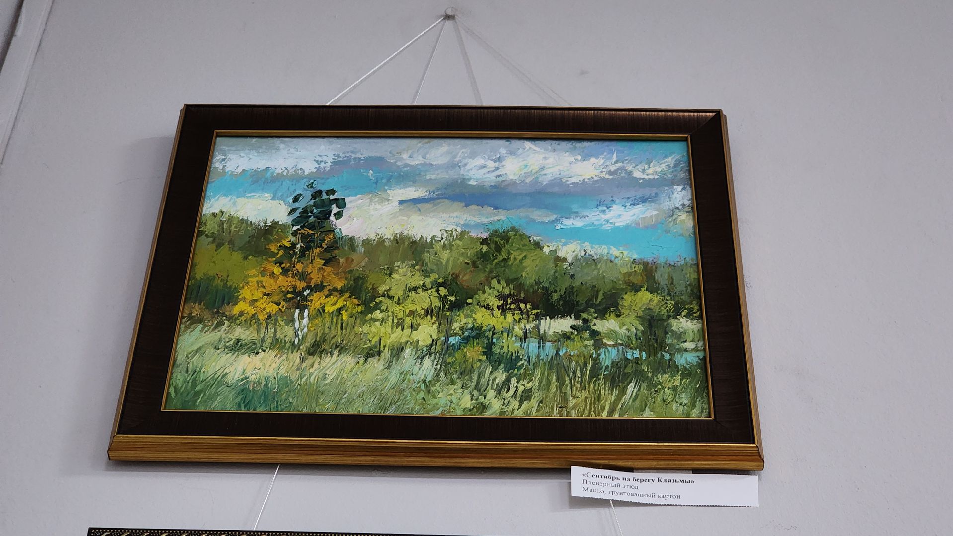 выставка, художник, Ногинская детская художественная школа, Богородский городской округ,