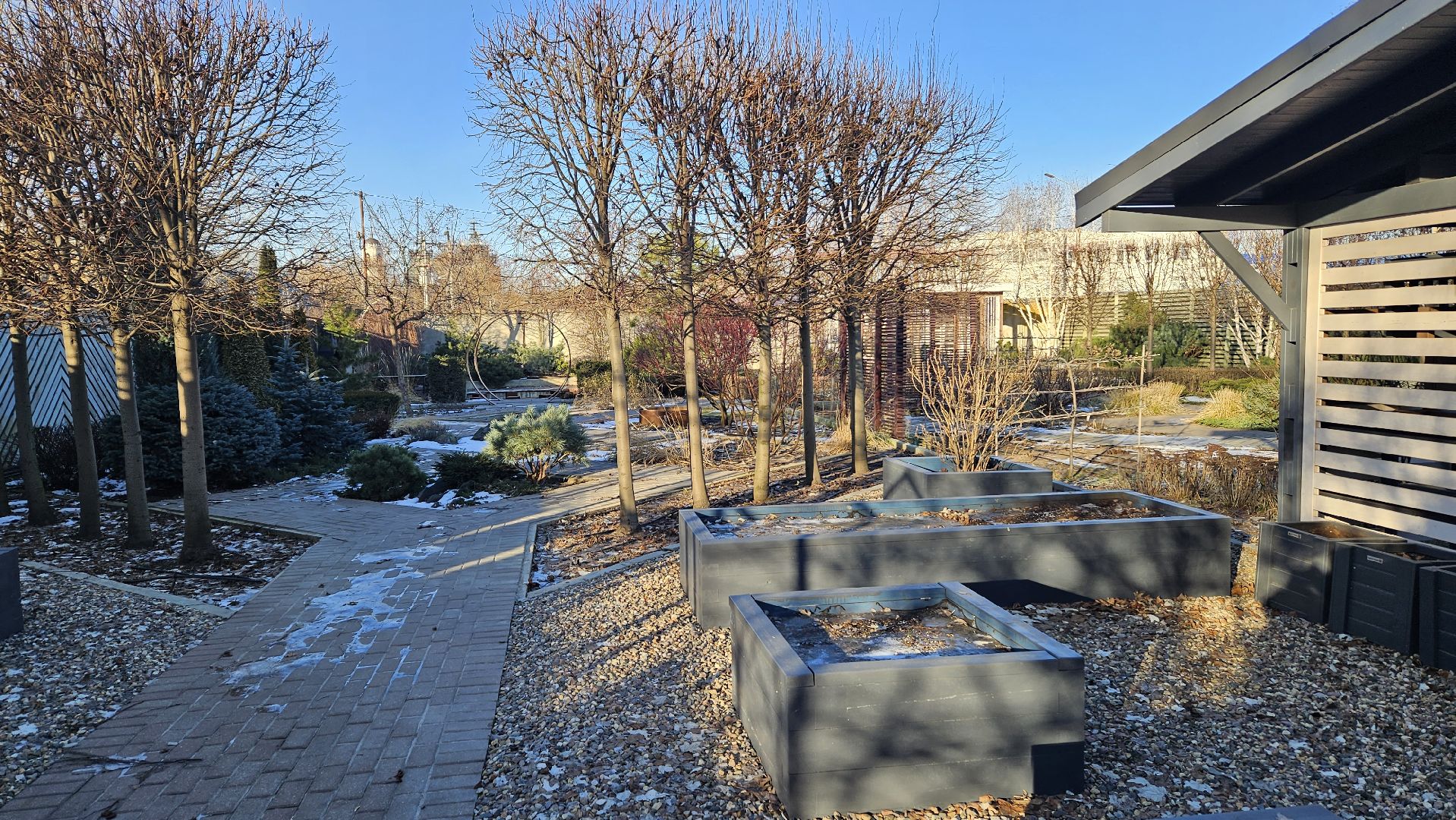 погода, сад, огород, жуковский,