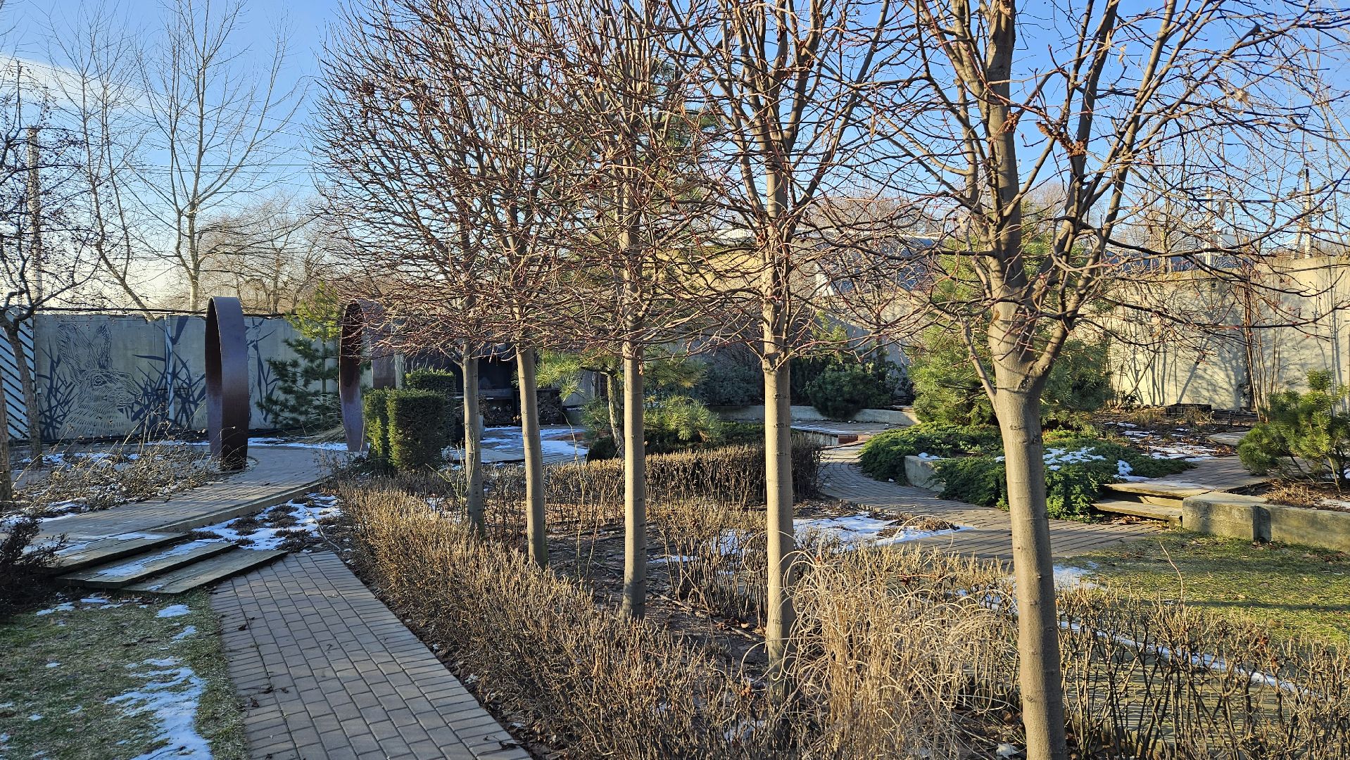 погода, сад, огород, жуковский,