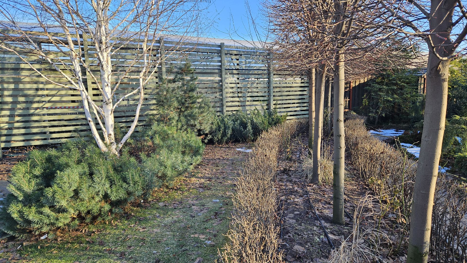 погода, сад, огород, жуковский,