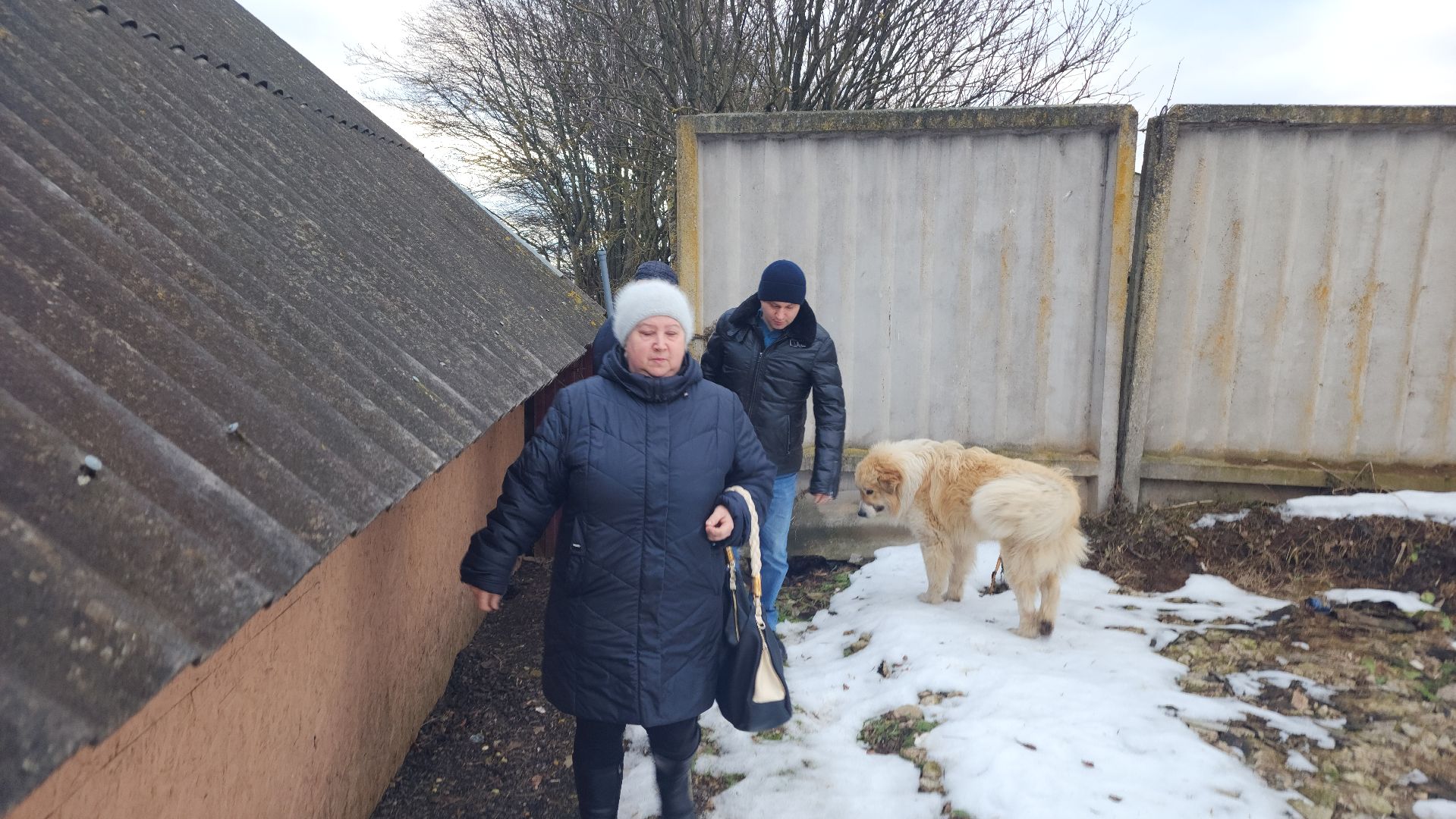 волоколамск, выездная администрация, встреча администрации с жителями, вертикалки,