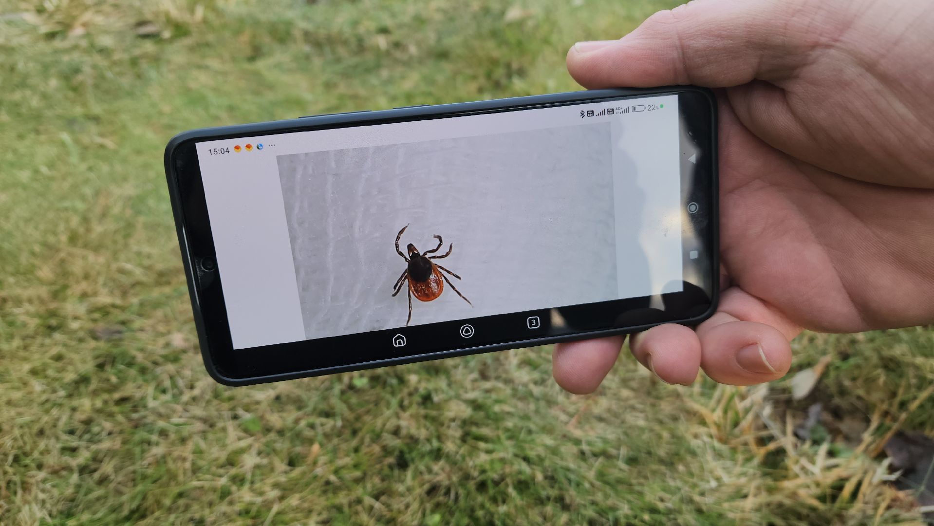 красногорск, аномальная погода, клещи, клещевой энцефалит, вертикалки