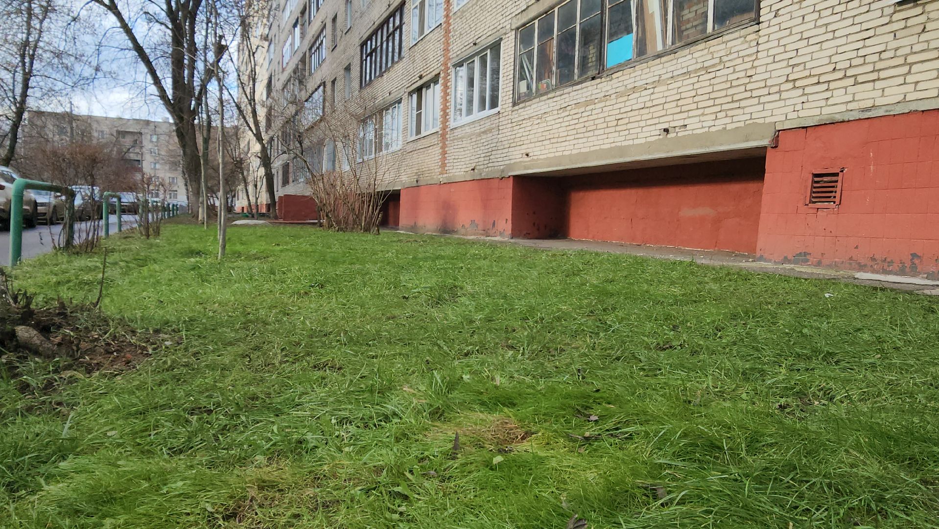 красногорск, аномальная погода, клещи, клещевой энцефалит, вертикалки