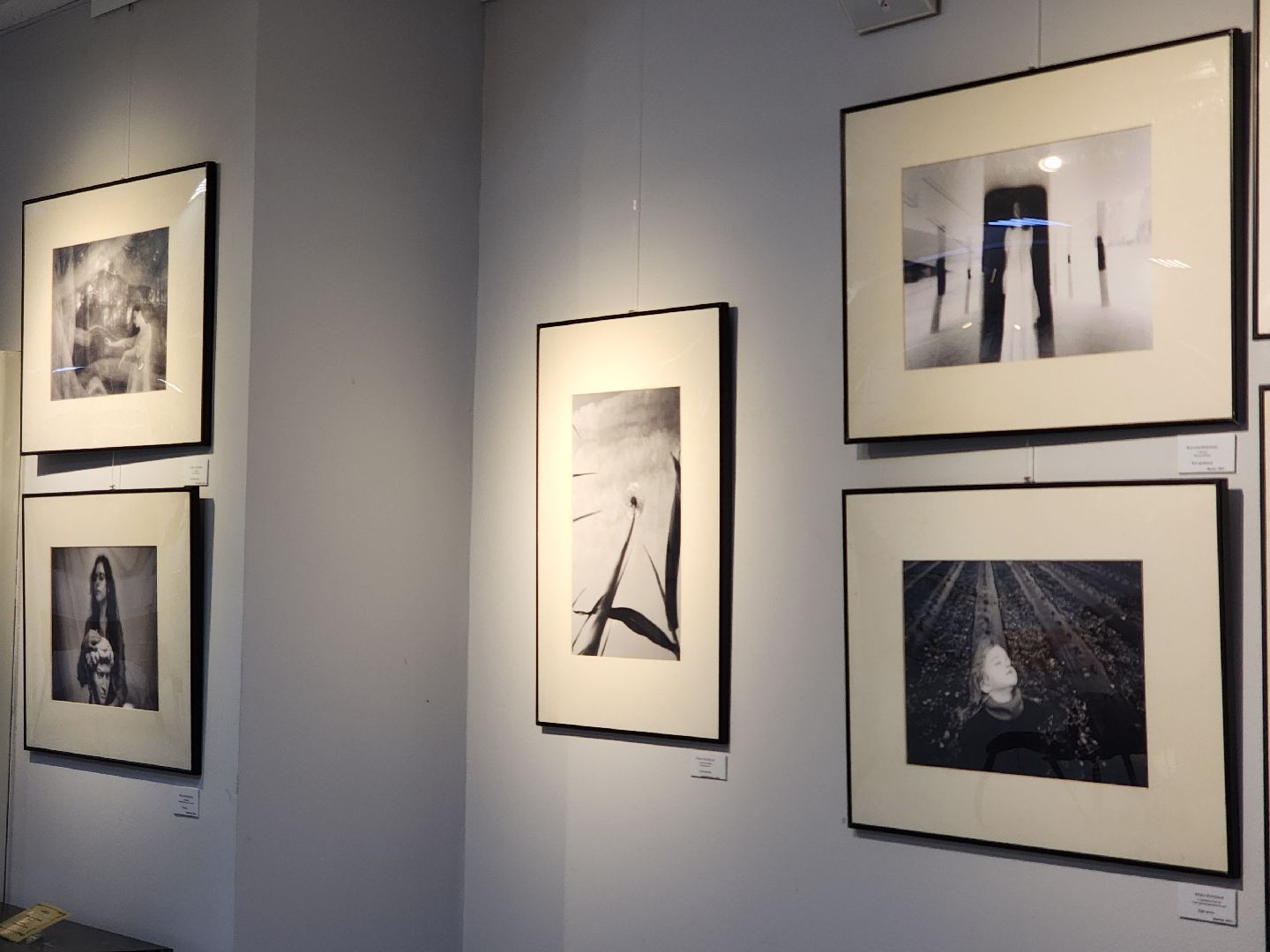 картинная галерея, выставка, Художники,Картины,