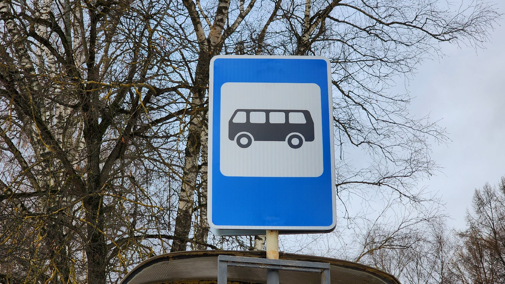 солнечногорск, вертикалки, микрорайон цмис, автобусная остановка, добродел,