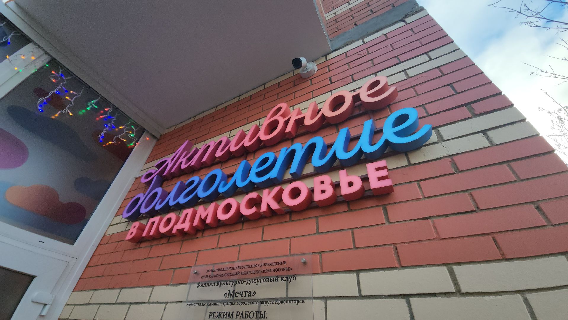 красногорск, татьянин день, день студентов, выставка, активное долголетие,