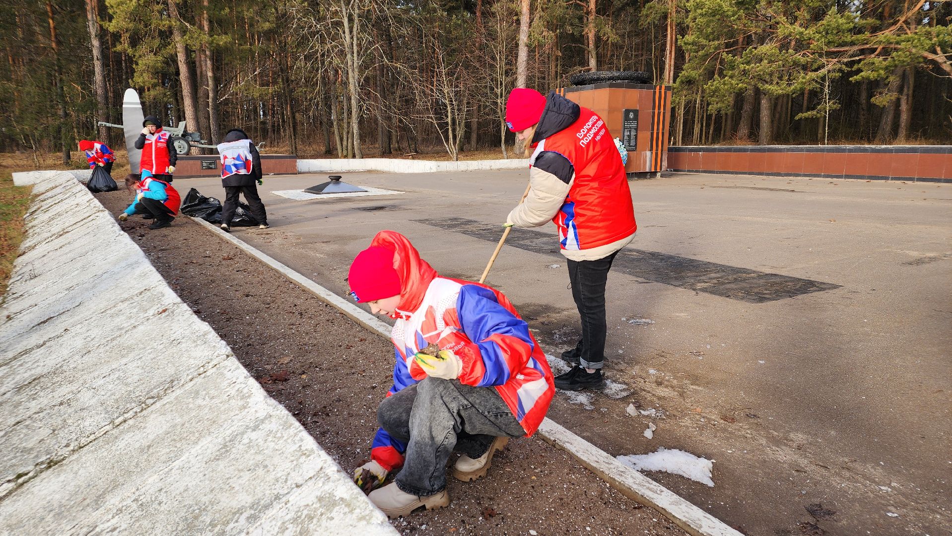 протвино, патриотическая акция, субботник, волонтеры подмосковья,