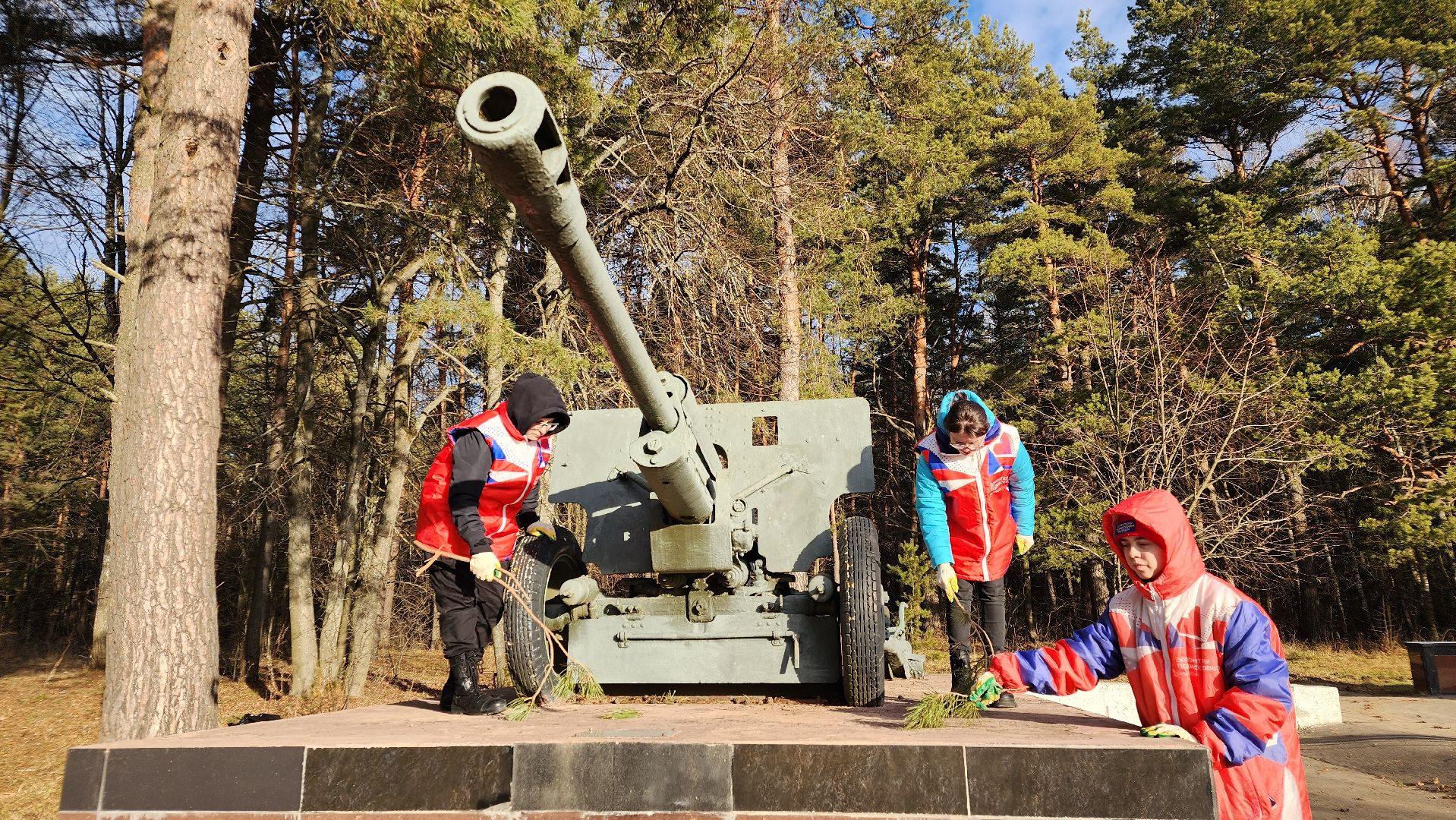 протвино, патриотическая акция, субботник, волонтеры подмосковья,