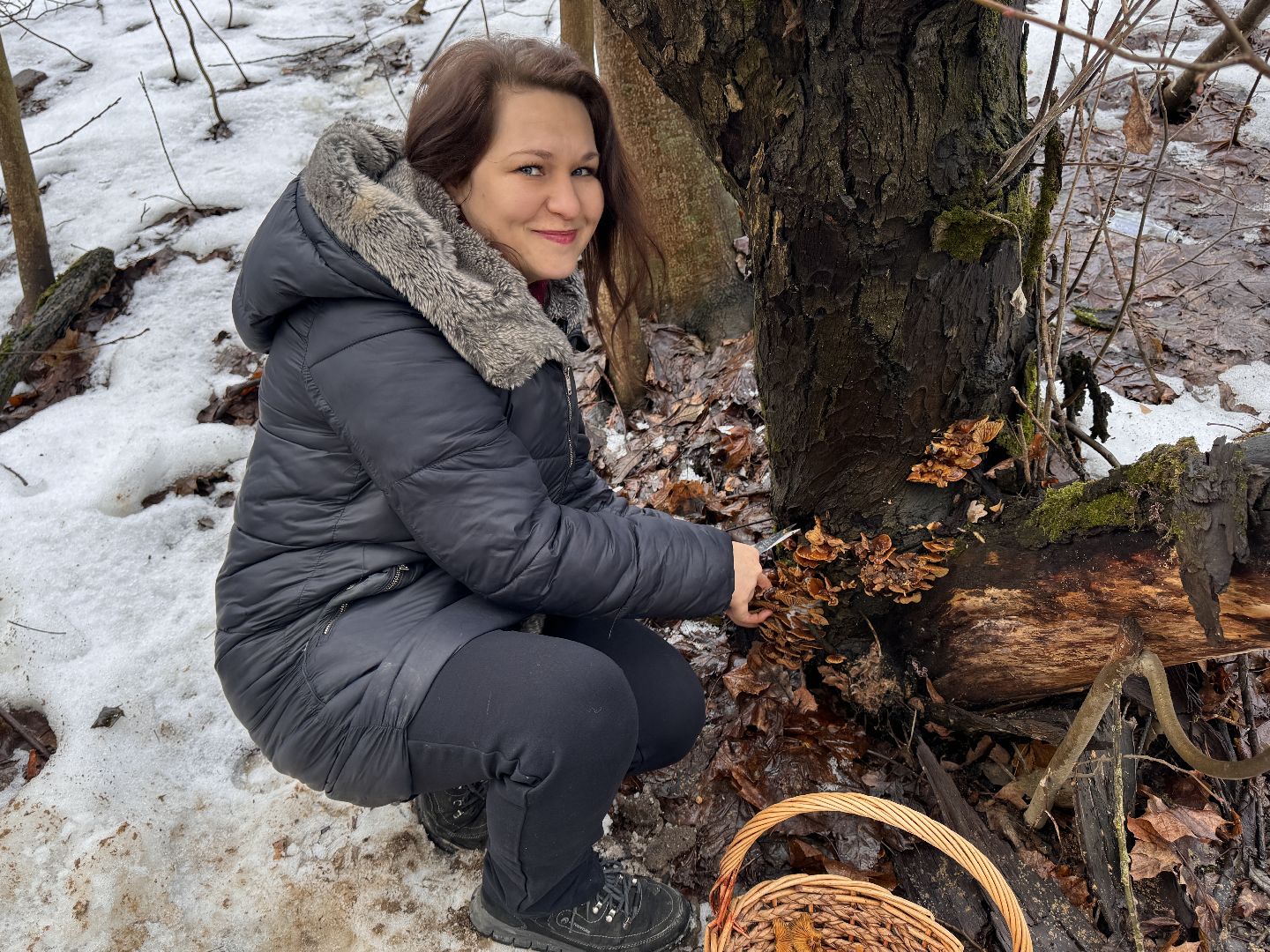 Грибы в январе, Оттепель, Одинцово,