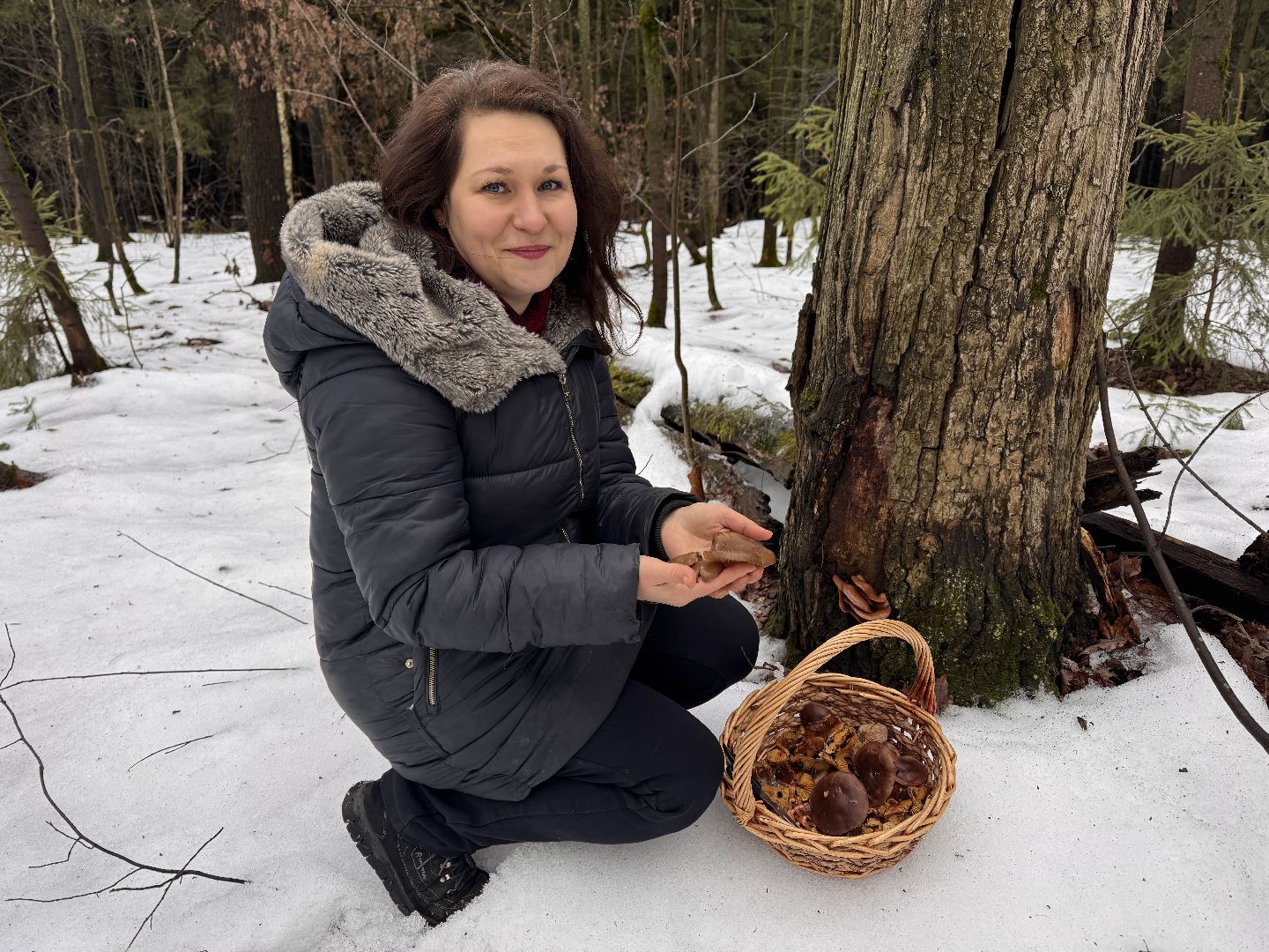 Грибы в январе, Оттепель, Одинцово,