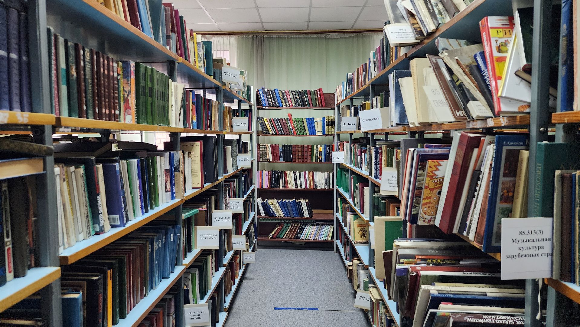 цифровизация, библиотека, библиотека имени Пушкина,