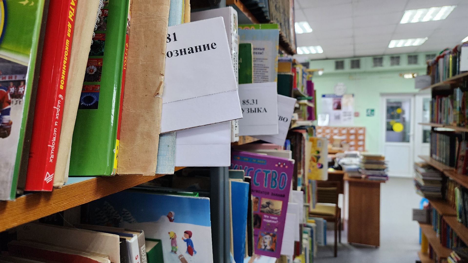 цифровизация, библиотека, библиотека имени Пушкина,