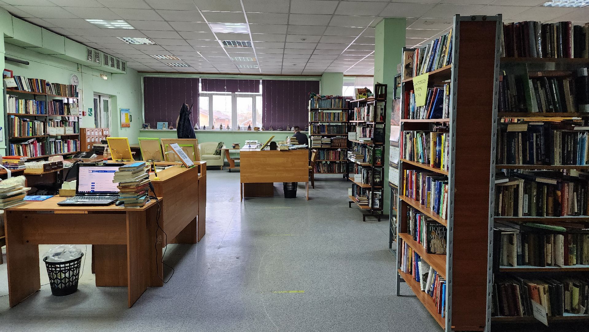 цифровизация, библиотека, библиотека имени Пушкина,