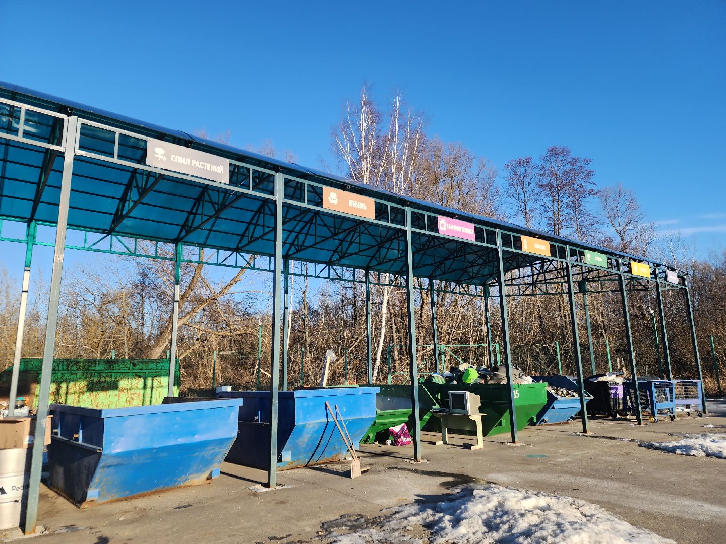 орехово-зуевский округ, елки на переработку, вертикалки,