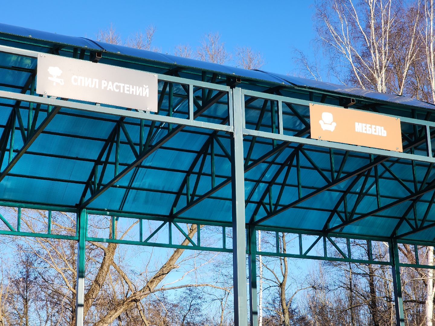 орехово-зуевский округ, елки на переработку, вертикалки,