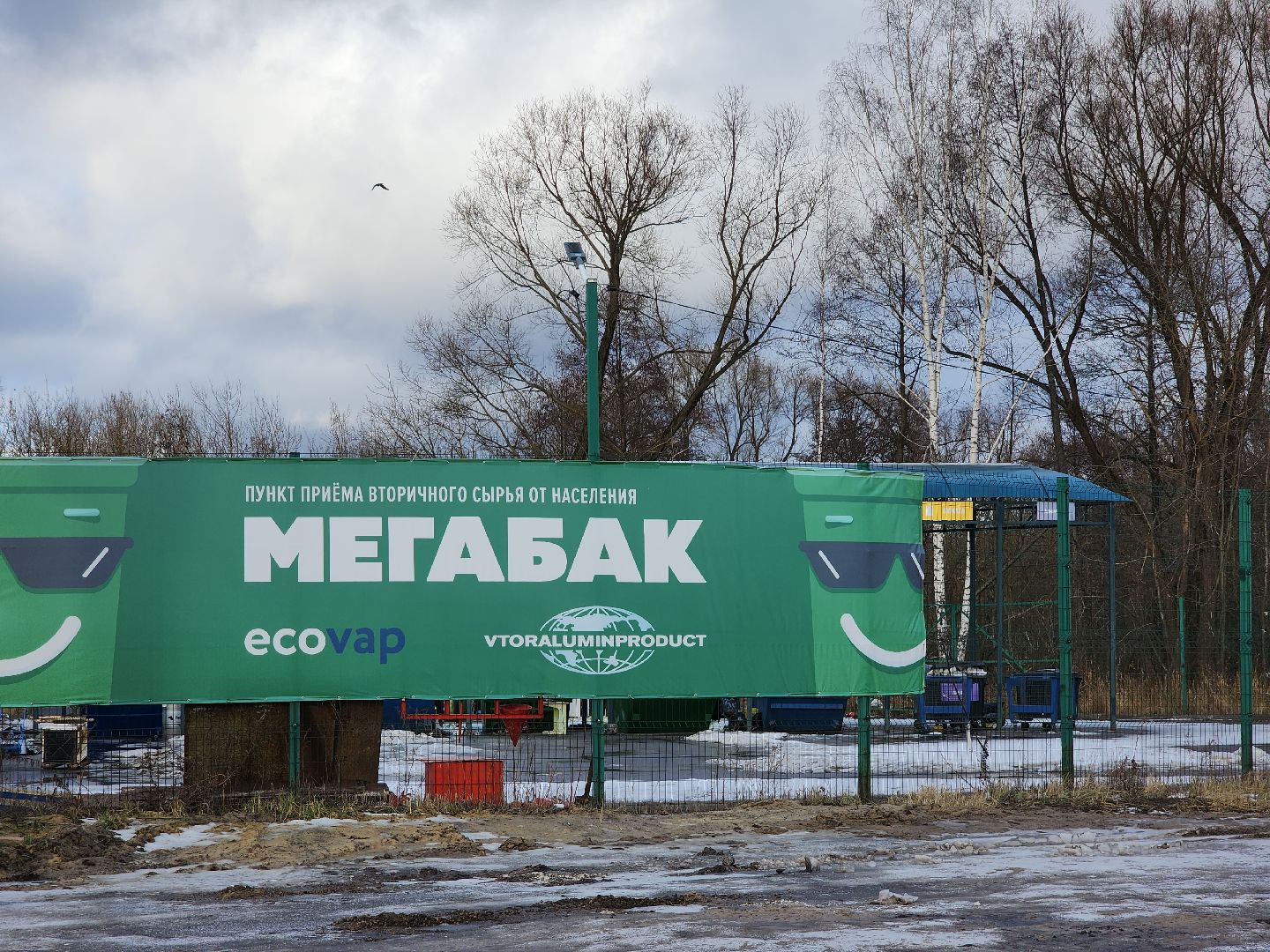 орехово-зуевский округ, елки на переработку, вертикалки,