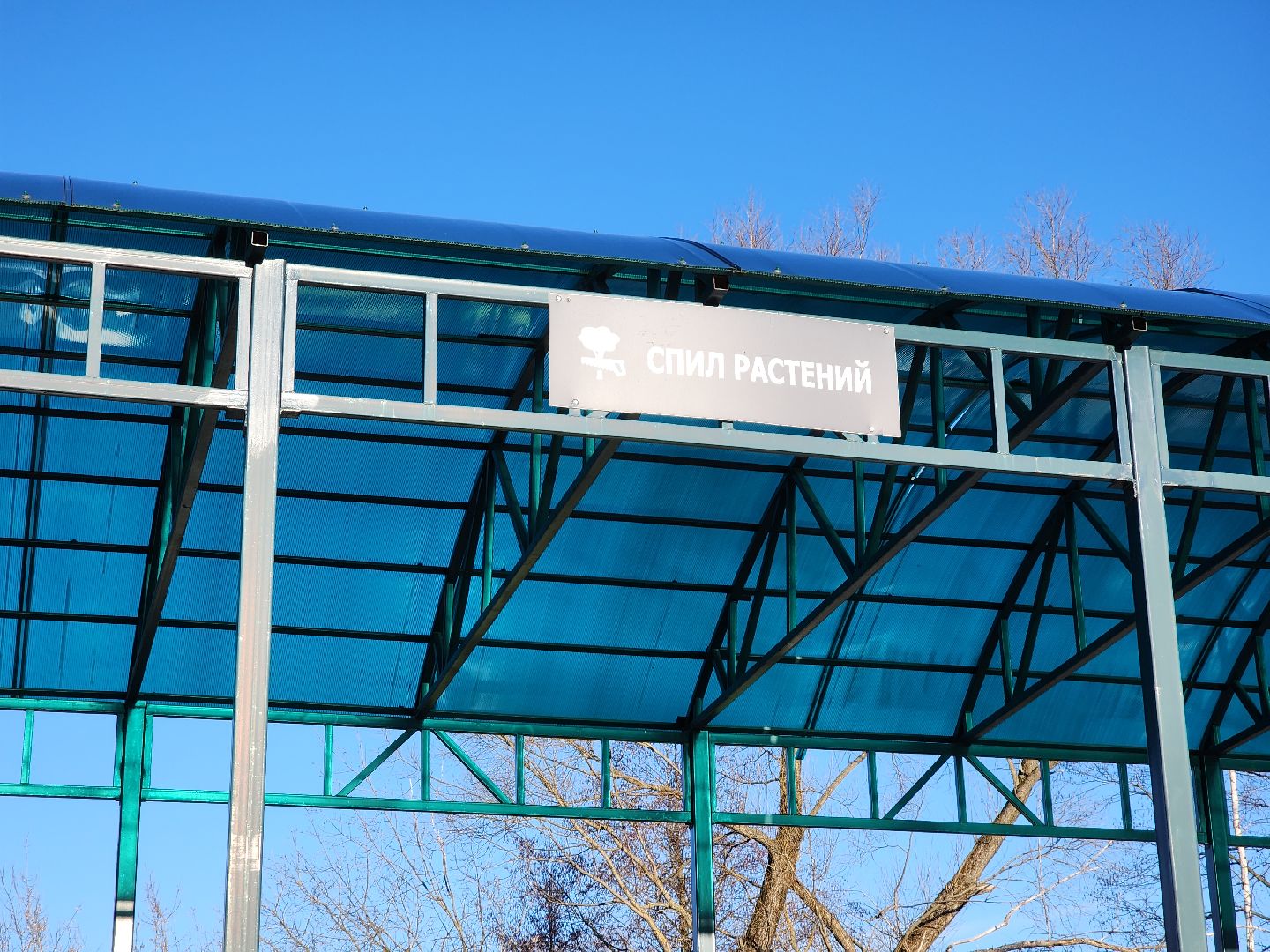 орехово-зуевский округ, елки на переработку, вертикалки,