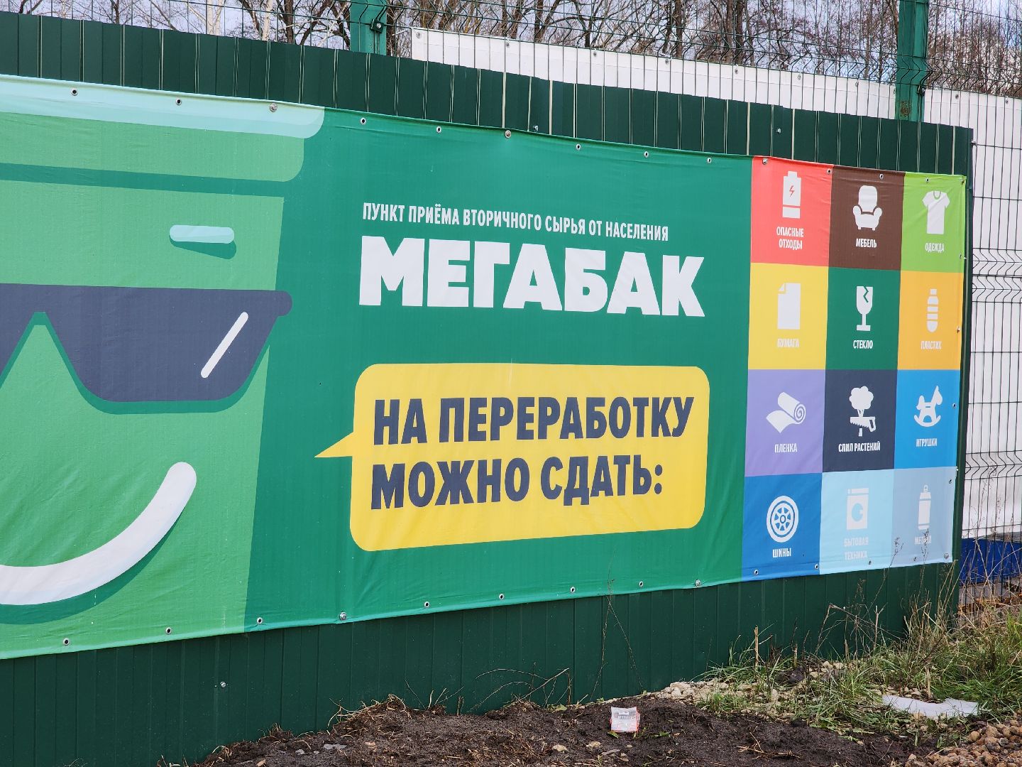 орехово-зуевский округ, елки на переработку, вертикалки,