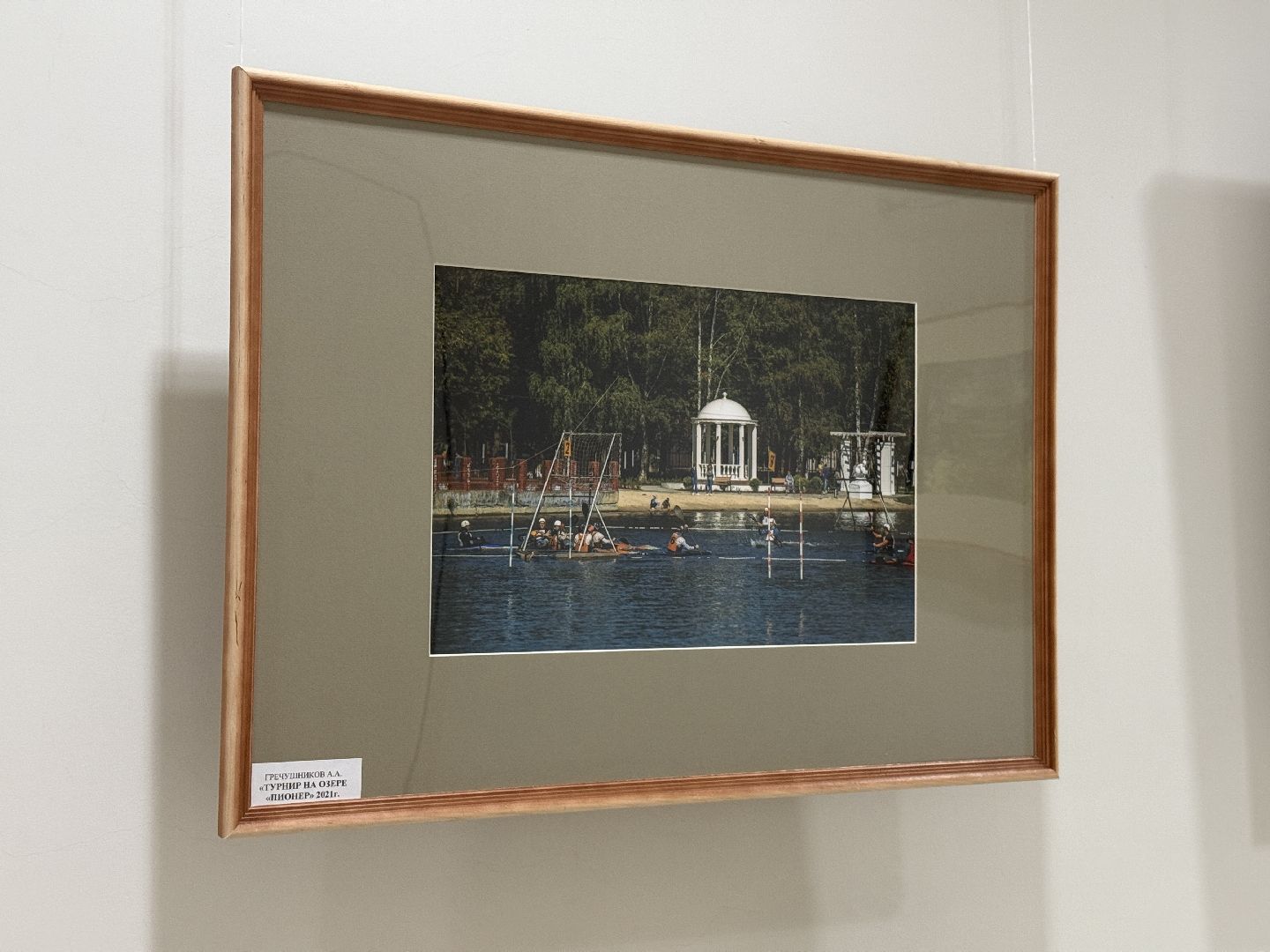 фотовыставка, раменское, дворец спорта борисоглебский, культура,