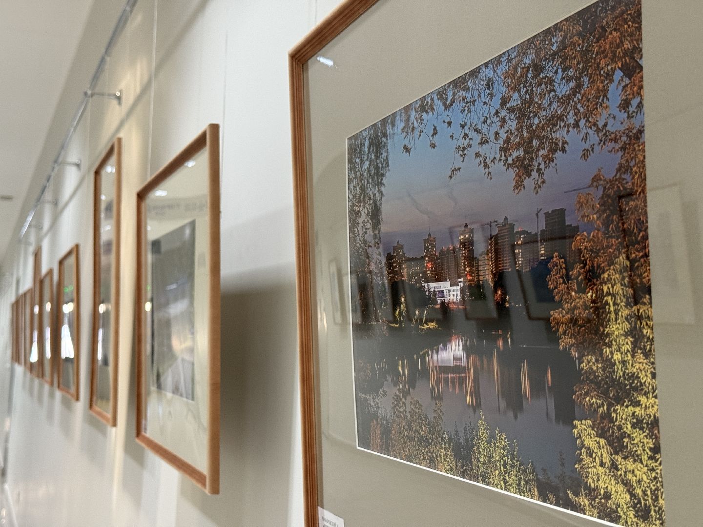 фотовыставка, раменское, дворец спорта борисоглебский, культура,