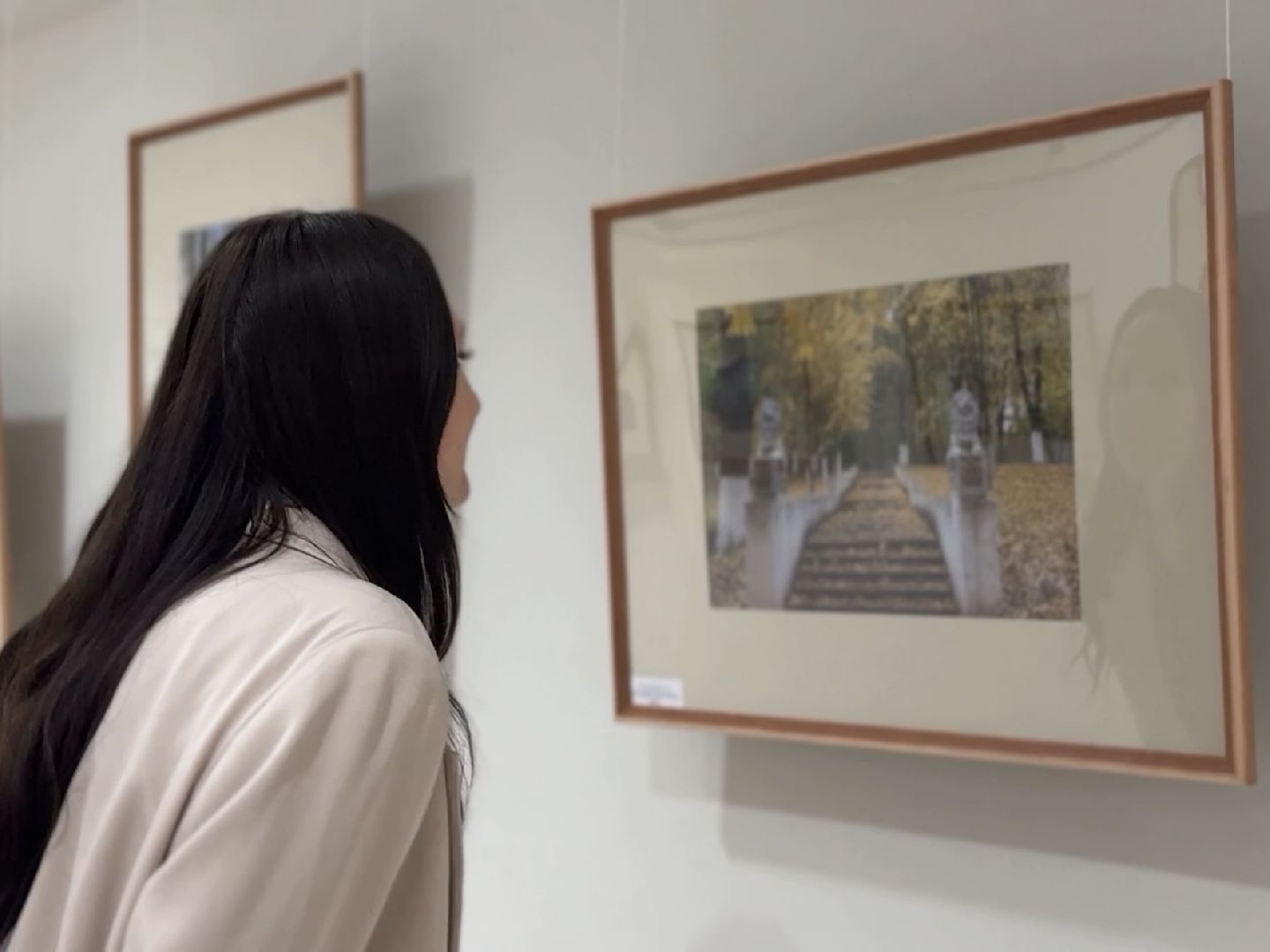 фотовыставка, раменское, дворец спорта борисоглебский, культура,