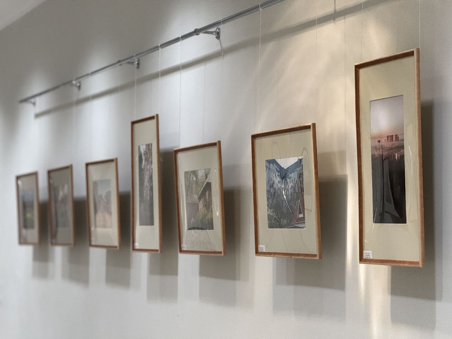 фотовыставка, раменское, дворец спорта борисоглебский, культура,